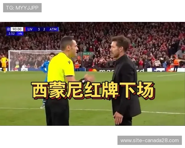 马竞主帅西蒙尼因球迷冲突染红离场补时破防引发争议 马竞主帅西蒙尼因球迷冲突染红离场补时破防引发争议