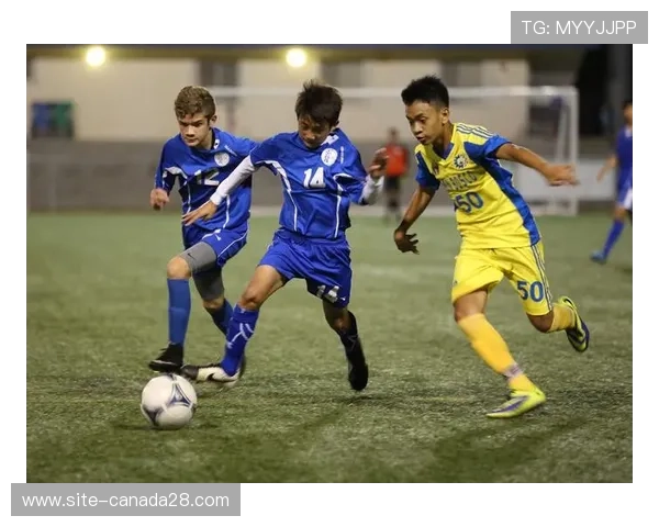 青训模式差异推动球员成长路径不同塑造多样化球星风格演变