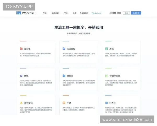 远程协作工具普及,支持分布式解说团队制作