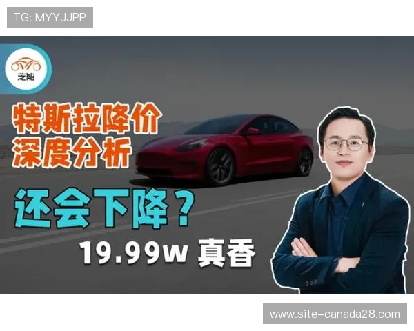 退役选手转型解说，深度分析赛事节奏受观众好评